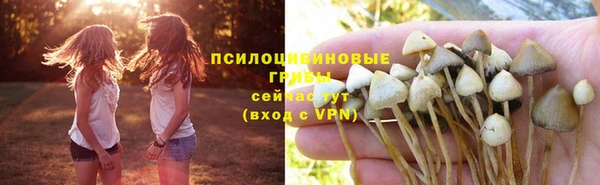 мяу мяу кристалл Алексин