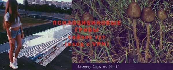 спайс Алексеевка