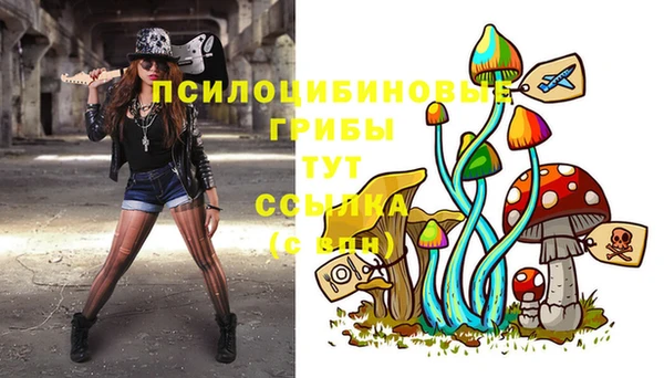 ешки Ельня