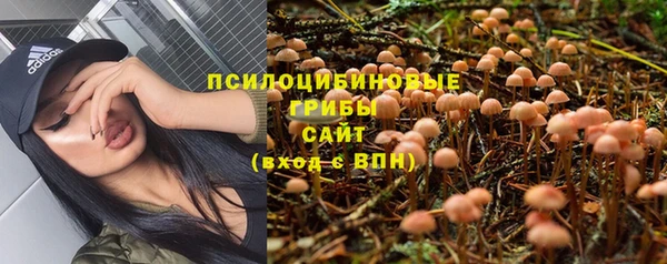 твердый Алзамай