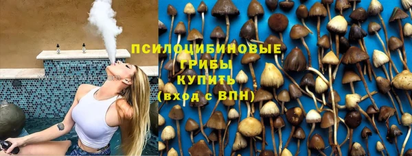 спайс Алексеевка
