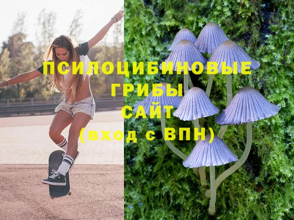 спайс Алексеевка