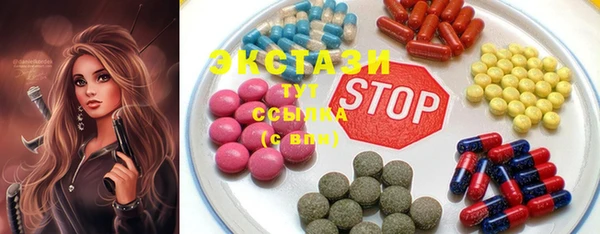 индика Дмитриев