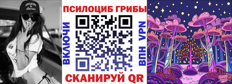 закладки  Коркино  Псилоцибиновые грибы Cubensis 